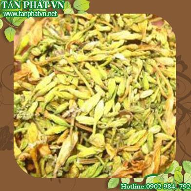 Địa chỉ bán hoa đu đủ đực tại An Giang chống ung thư ác tính