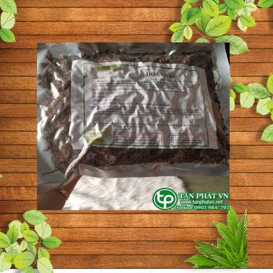 Địa chỉ bán hoa đu đủ đực tại quận 3 chữa mẩn ngứa