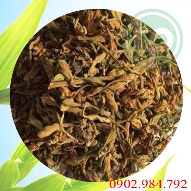 Địa chỉ bán hoa đu đủ đực tại Trà Vinh chống lại bệnh ung thư phổi