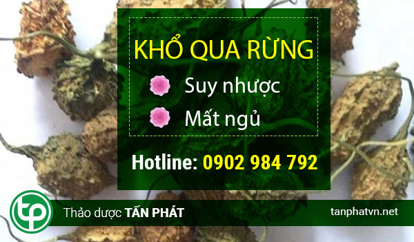 Địa chỉ bán trái khổ qua rừng sắt lát tại Tuyên Quang giá tốt