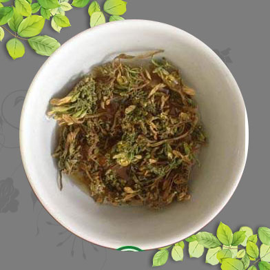 Phân phối sỉ lẻ hoa đu đủ đực tại Sơn La  trị ung thư dạ dày